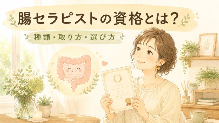 腸セラピストの資格とは?種類・取り方・選び方をやさしく解説