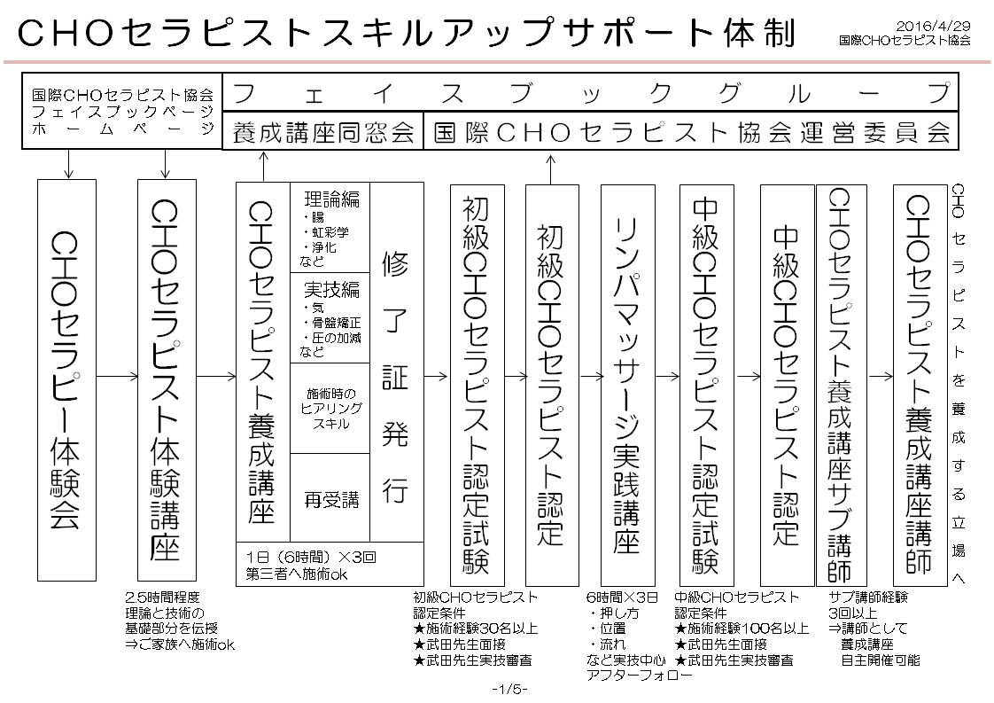 腸セラピー体験会から養成講座、初級・中級認定、サブ講師・講師までのスキルアップ体制フロー図